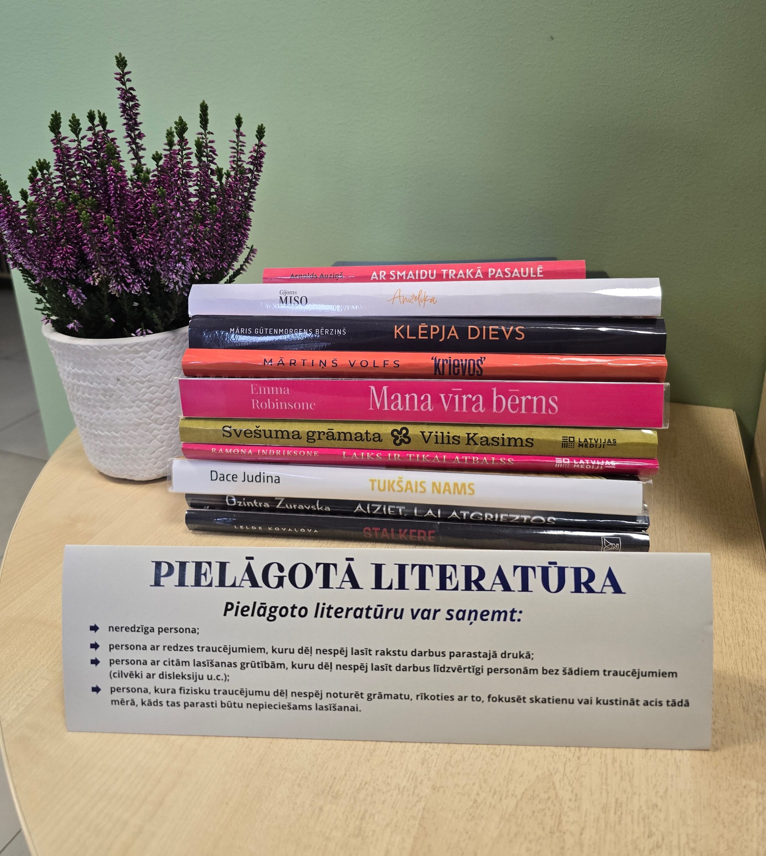 LIELDRUKAS grāmatas Pļaviņu bibliotēkā - lasītprieks ikvienam!